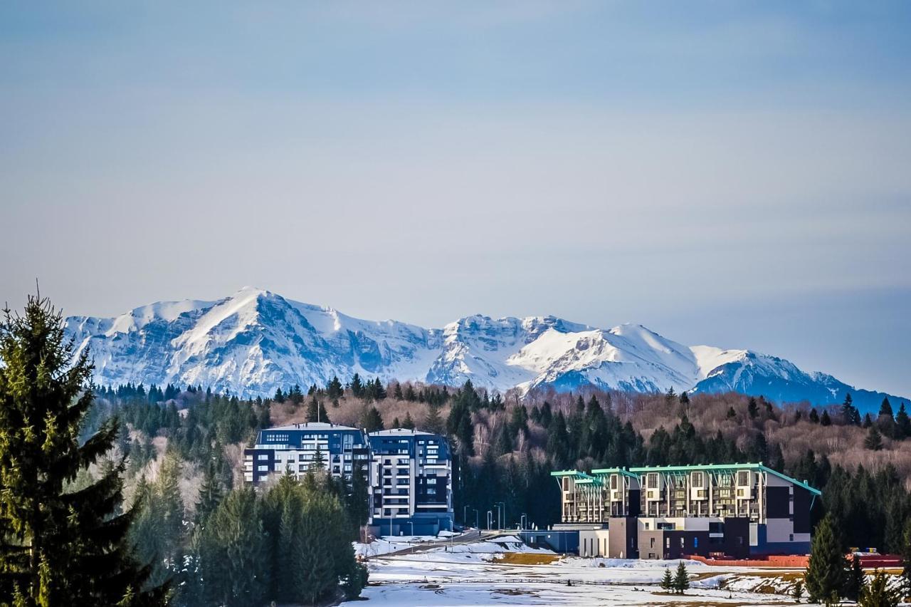 Art Gallery Apartment In Silver Mountain ポイアナ・ブラショフ エクステリア 写真